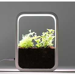 Giardino indoor con luce di coltivazione a LED