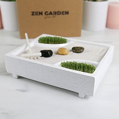 Kit per la coltivazione del mini giardino Zen