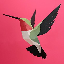 Uccello di carta 3D di Plego. Colibrì Codalarga
