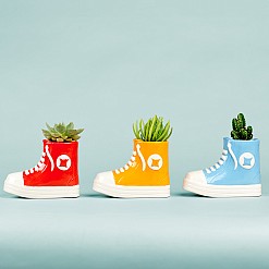 All Plant: vaso originale a forma di pantofola