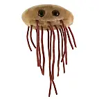 Peluche del batterio E. coli