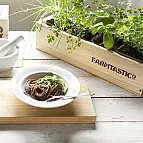 Insaporite i vostri piatti con le piante aromatiche del vostro giardino.