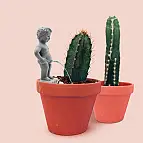 Decorazione per vasi: Pee My Plants