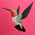 Uccello di carta 3D di Plego. Colibrì Coliancho