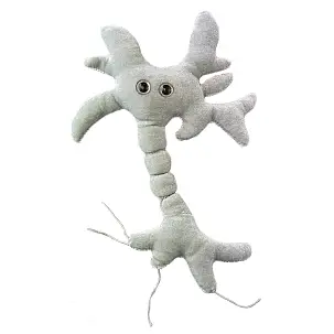 Giocattolo di peluche Microbe Small Neuron