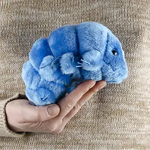 Originale peluche a forma di orso acquatico