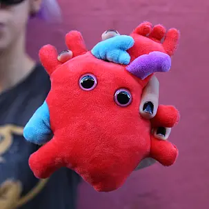 Peluche a forma di cuore anatomico