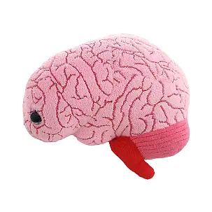 Peluche a forma di cervello