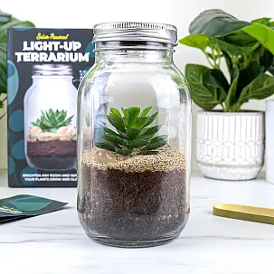 Kit per realizzare un terrario con luce