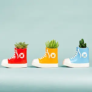 All Plant: vaso originale a forma di pantofola