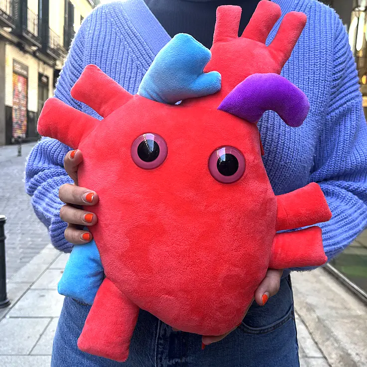 Peluche anatomico a forma di cuore 