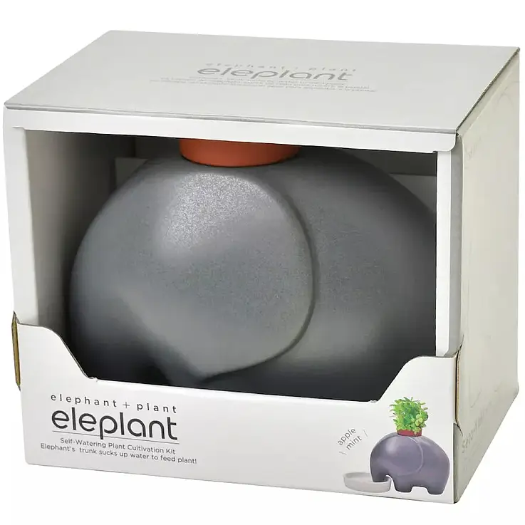 Elefante grigio con semi di mela e menta