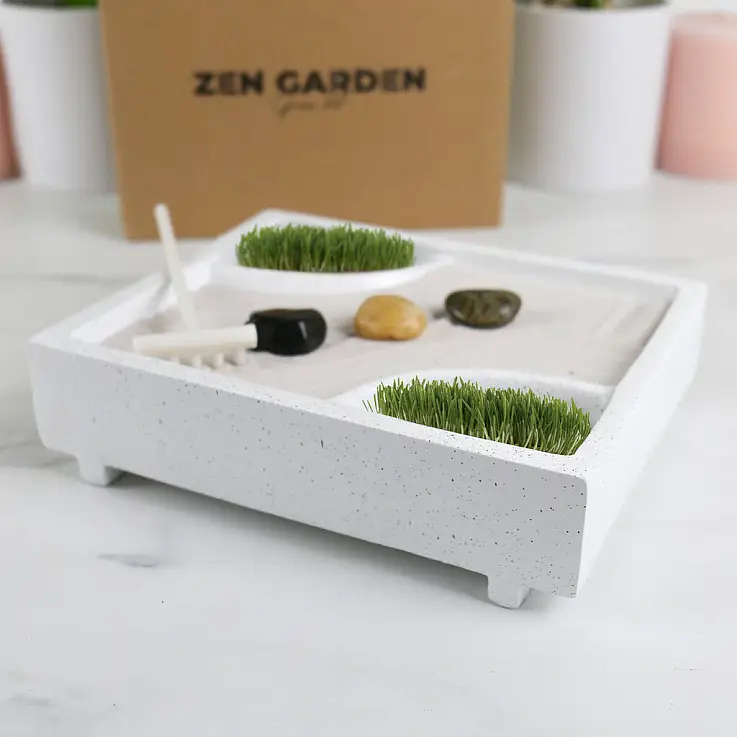 kit per la coltivazione del mini giardino zen